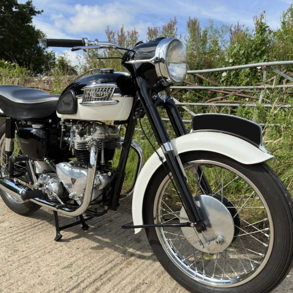 Triumph Ivory (1940s-1950s) Paint Product